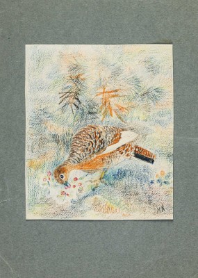 Коган Нина Иосифовна. Эскиз иллюстрации «Куропатка» 